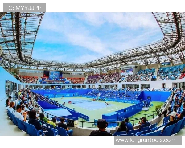 成都网球队状态分析：聚焦训练成果与比赛表现的全面评估MBA