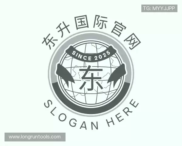 了解东升国际官网